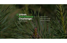 Международный студенческий конкурс Urban Greenhouse Challenge впервые пройдет в России