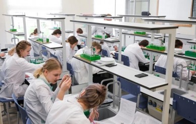 В России вузы могут перейти на новую модель образования в 2027 году