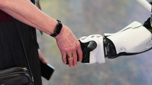 Минобрнауки рассматривает возможность интеграции ИИ в образовательный процесс